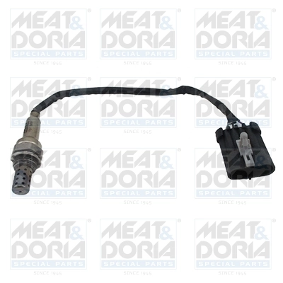 Oxygen Sensor